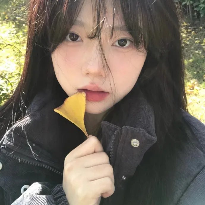 茉莉花